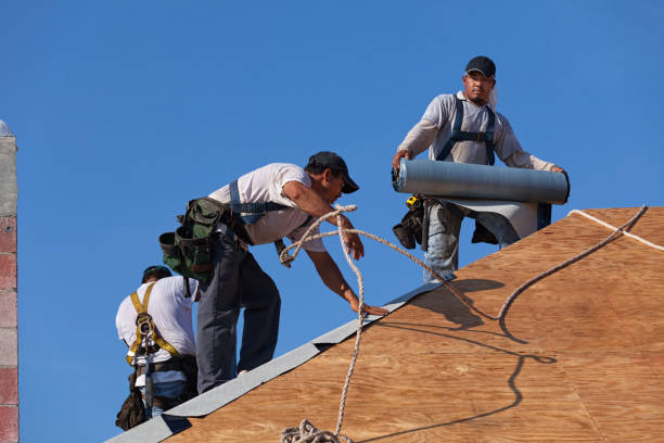 Best Shingle Roofing Installation  in Carlton, OR