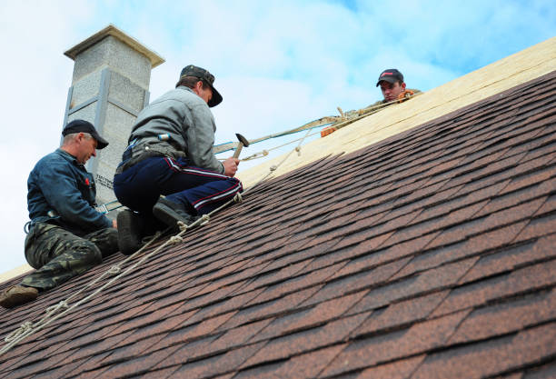 Best Roof Waterproofing Services  in Carlton, OR